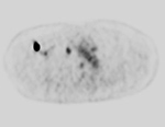 Figure 30C